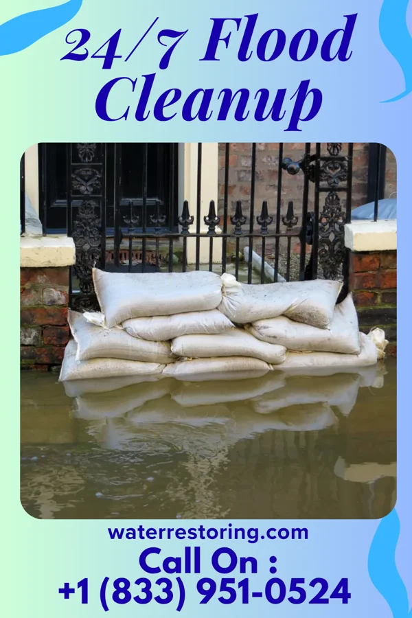 24/7 Flood Cleanup in Westfield, IN