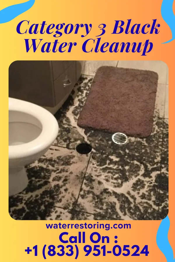 Category 3 Black Water Cleanup in Westfield, IN