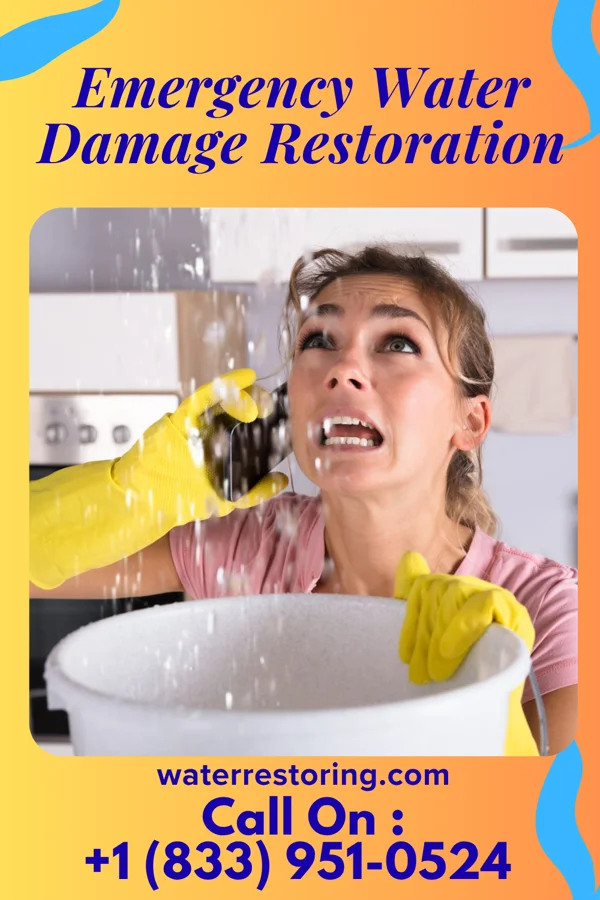 Emergency Water Damage Restoration in Westfield, IN