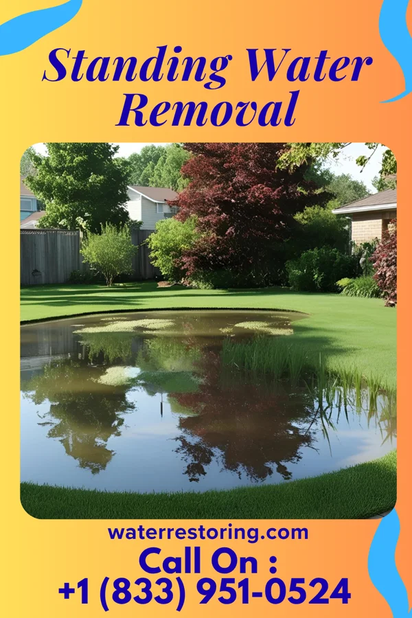 Standing Water Removal in Westfield, IN